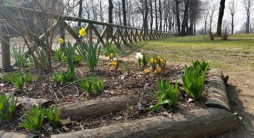 Cascina Govean Alpignano Zewnętrze zdjęcie